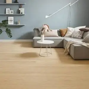 Modern Parquet Flooring